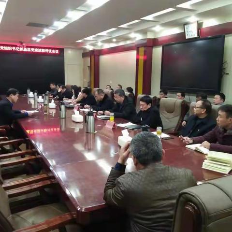 县水务局召开2019年度党支部书记抓基层党建工作述职评议会议