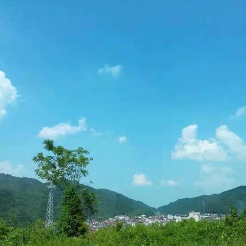 我的磐安乌石村之旅