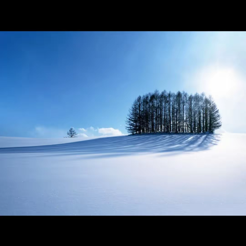 雪