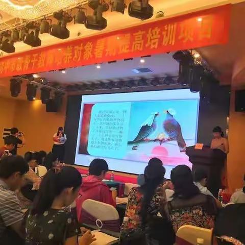 知识吸收，成长继续-2019海口市骨干提高培训体会三