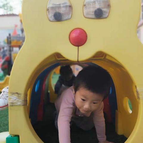 我是一条毛毛虫