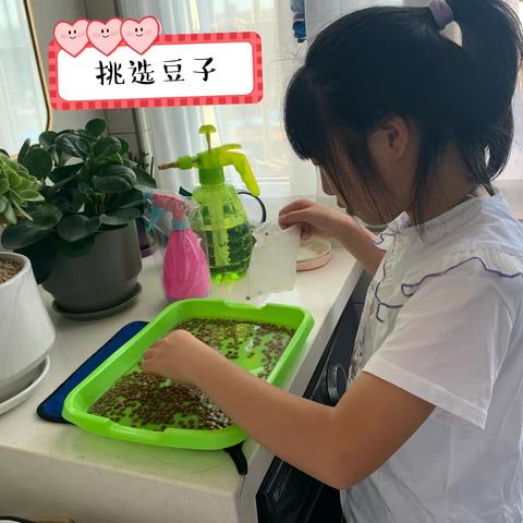 大家好，我是池阳小学四3班学生刘欣颖，我正在参加池阳学“喜迎二十大 争做好少年“主题微实践活动“微责任”