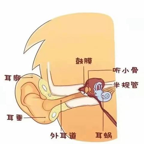 爱耳护耳，聆听美好--“爱耳日”活动北关区陶家营小学