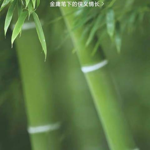 夏夜（打开美篇看见你）