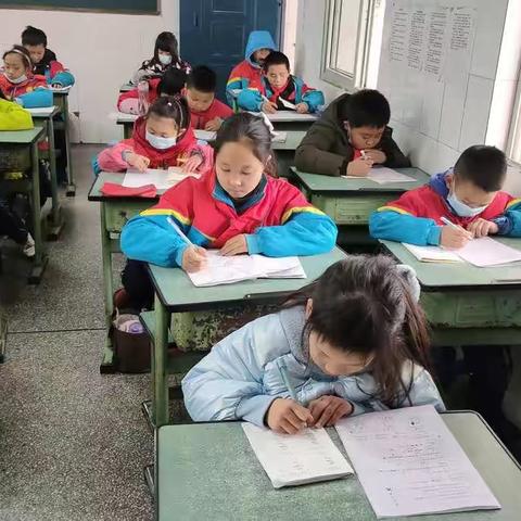 沐浴课辅暖阳，花儿朵朵开放