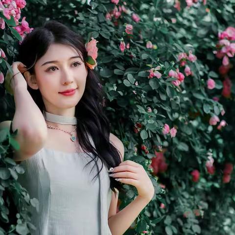 又是一年蔷薇季