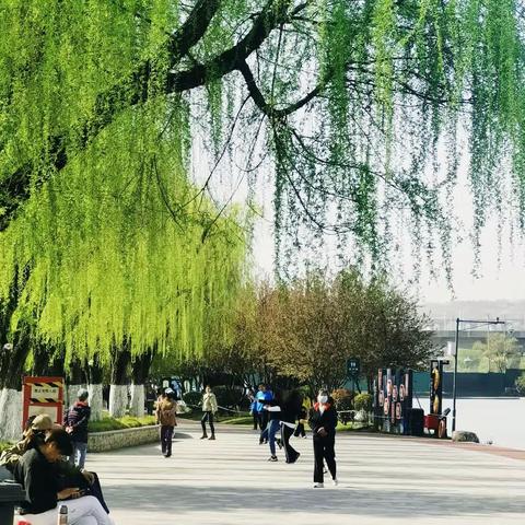雁鸣湖公园春意浓