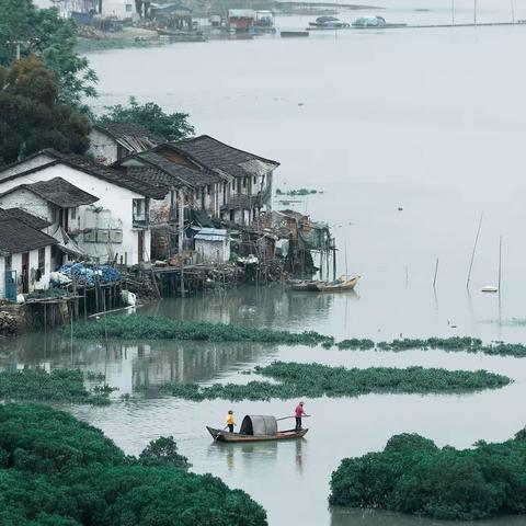 鹅湾红树林 极简之美
