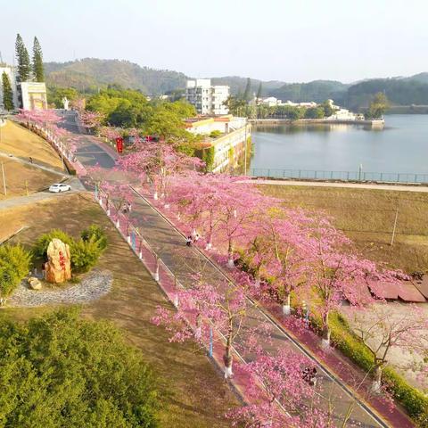 2019，我航拍摄影的起点