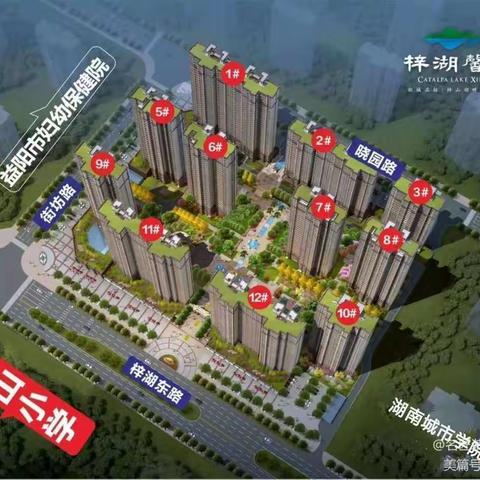 11月16日【梓湖馨苑】绿化情况