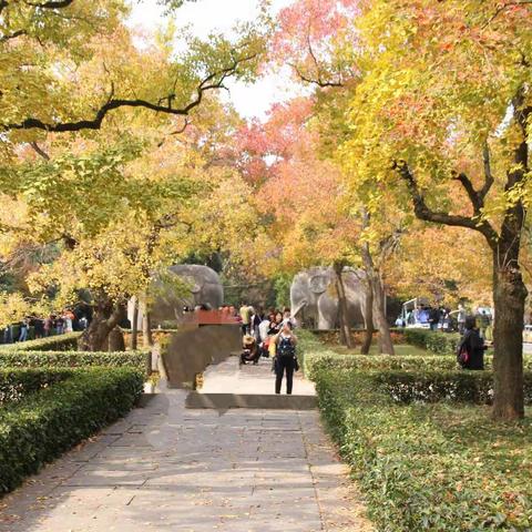 2018年10月28日王同学南京学习参观