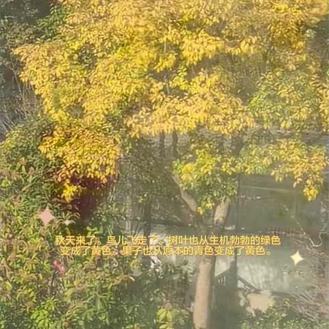 绘秋，咏秋——通州实小六（6）班蕊春物语“秋”课程展示