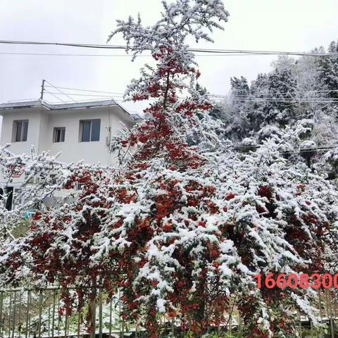 蔺之明《玄道生物》的美篇