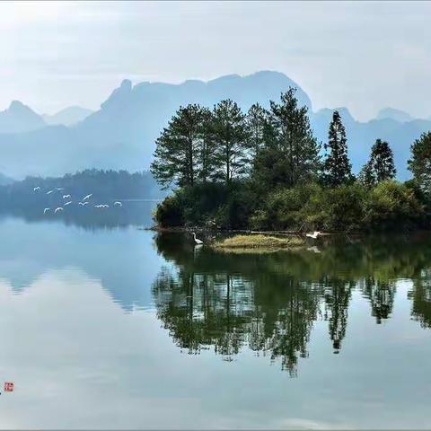 静心泰宁欢迎您