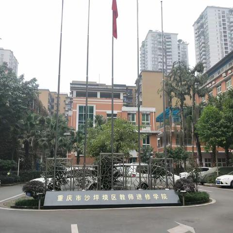 沙区进修学为本，快乐开启新篇章