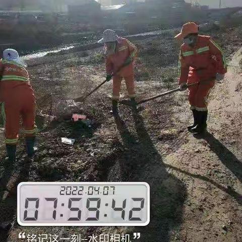 春季环境整治（二）