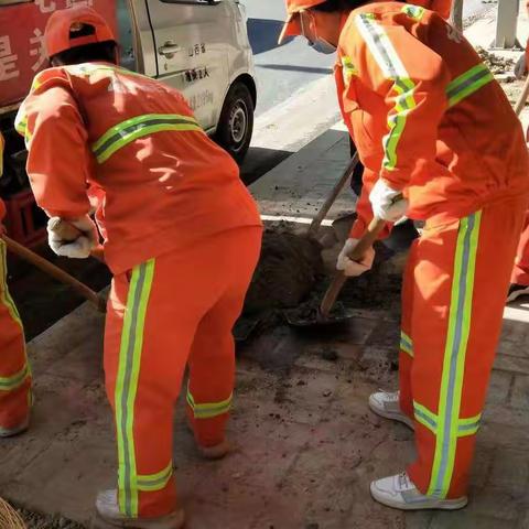 环卫精细化作业     提升环境卫生质量