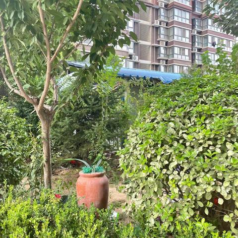 大家好，我是四年级四班的梁阳可裕，我正在参加池阳小学“喜迎二十大，争做好少年”微实践---“微环保主题活动