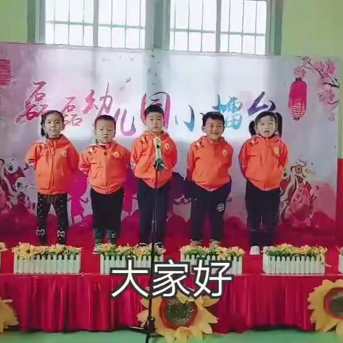 磊磊幼儿园中三班祝大家阖家欢乐