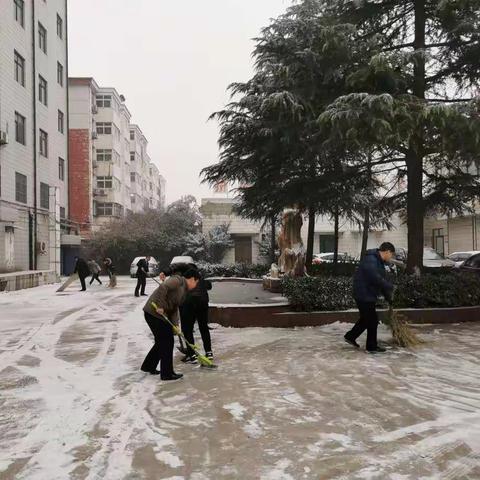 瑞雪兆丰年，劳动展风采