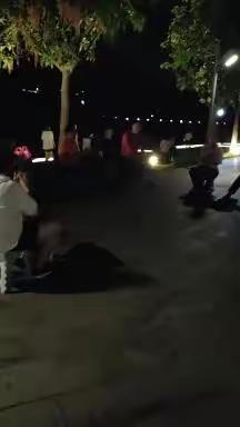 公园所见