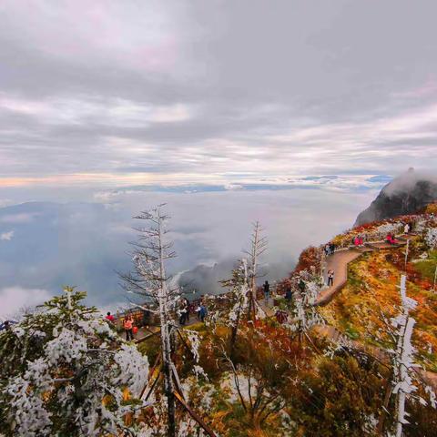 云海绕千峰，冰晶雕玉树