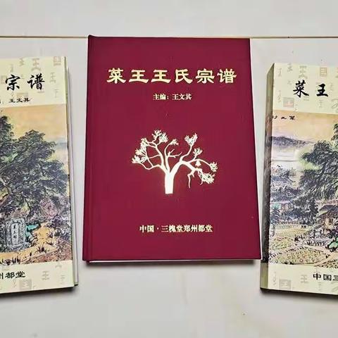 《菜王王氏宗谱》出版啦！