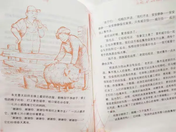 探索未知 感悟成长——读《夏洛的网》