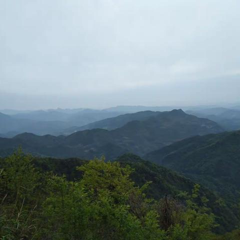 冬雨助冬寒，送教更送情