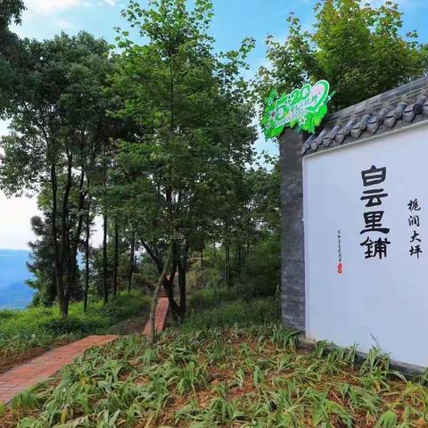 致广大农民工朋友的一封信（副本）