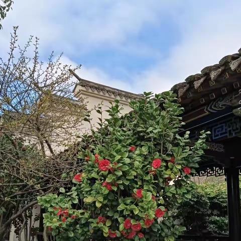 踏春·赏景·聊图