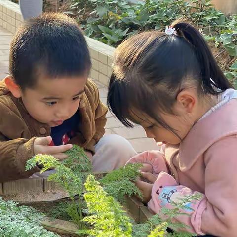 寒意料峭处，暗有春意来——仙游县木兰幼儿园身边的传统节气之小寒