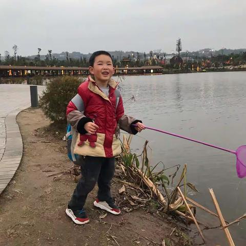 枫香湖儿童公园一日游