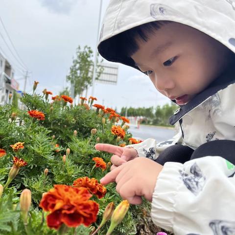 九月九重阳节 开心的一天（副本）