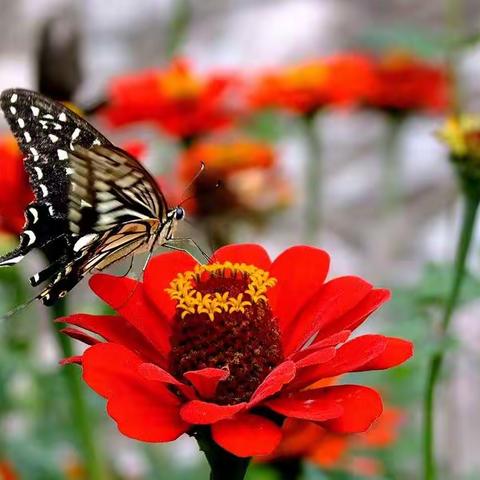 紫金佳苑7月月度工作汇报