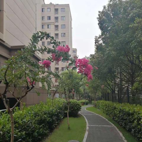 紫金佳苑7月份工作汇报