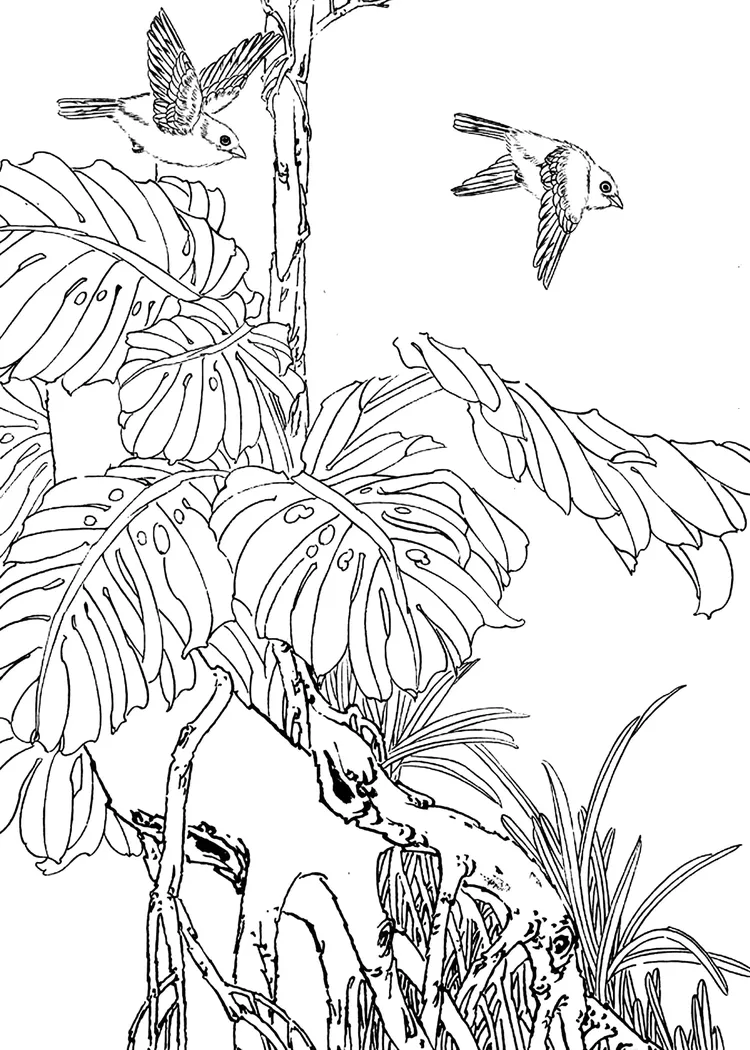 花鸟白描【四】