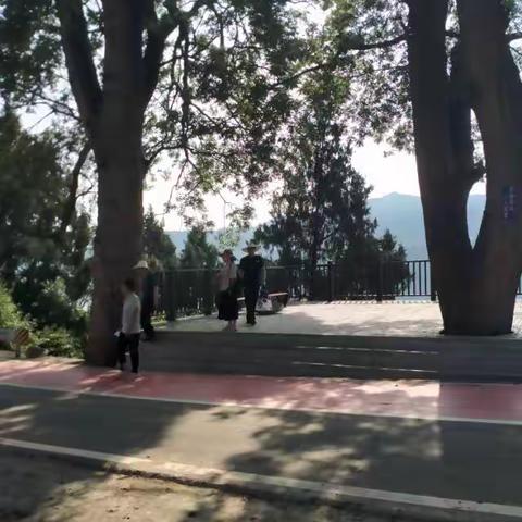 李文俊（船工）苍溪浙水乡山水村采风诗联稿