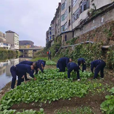 宜黄县城市管理局每日工作动态（11月1日）