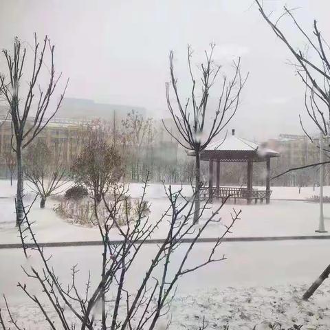 雪之趣——附小幼儿园小七班玩雪记