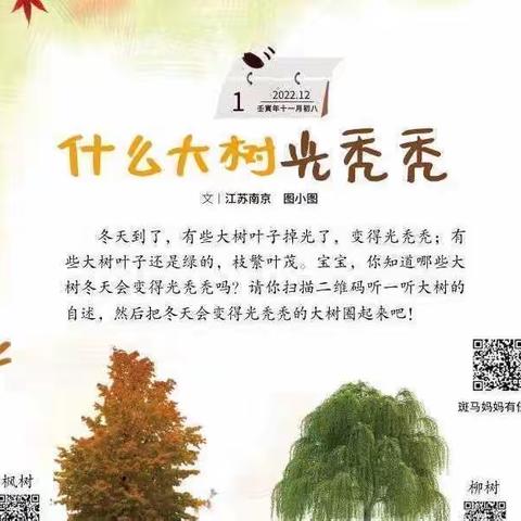 长葛市博雅幼儿园中班12月1日周四“办法日"线上‘’"亲子日常陪伴‘’教育活动