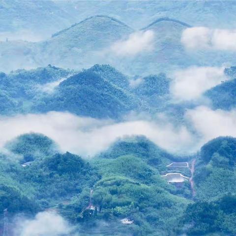 仲夏游竹海感怀