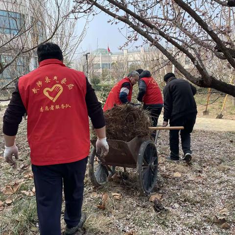 武陟县气象局组织“我为春天添新绿”植树活动
