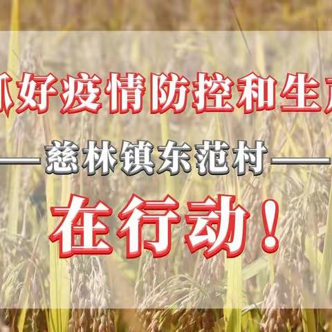 慈林镇东范村：统筹抓好疫情防控和生产保障等工作