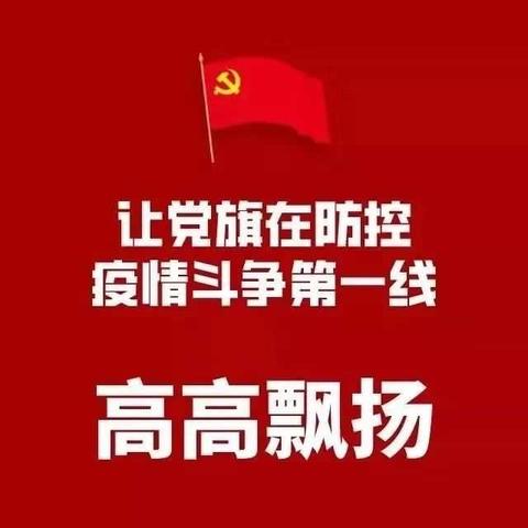 【慈林镇东范村】让党旗在防控疫情斗争第一线高高飘扬