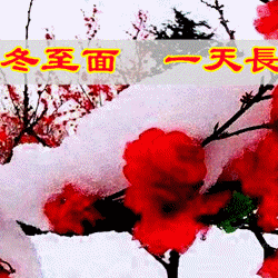 吃了冬至面  一天长一线