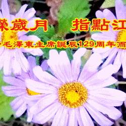 峥嵘岁月  指点江山