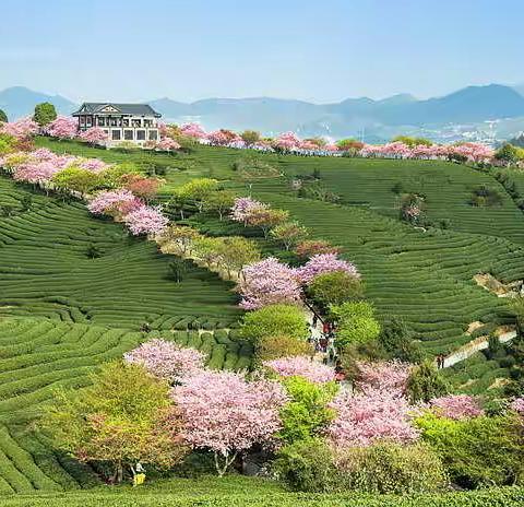 岁月悠悠浪淘沙