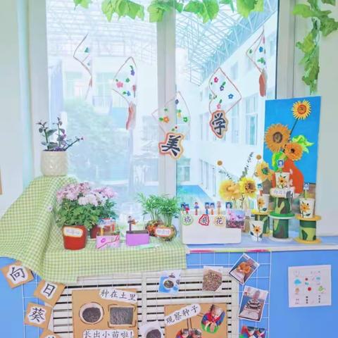 一窗一景：遇见森林，遇见春天    苗苗六班