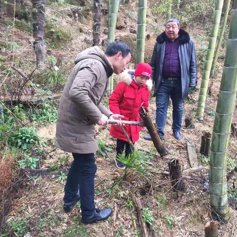 进山体验 寻找野味